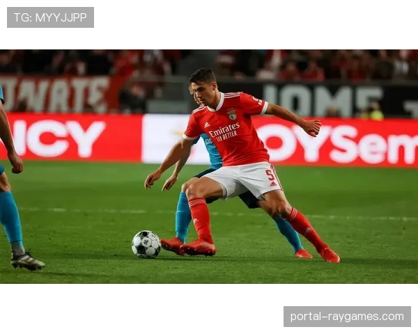 尼斯队伤病潮加剧，主力阵容不整影响战绩